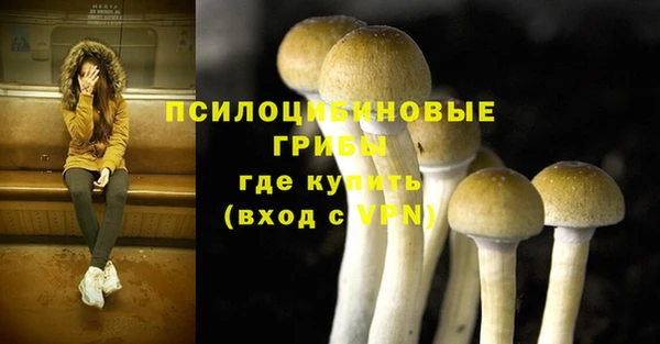 винт Верея