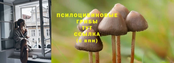 трава Верхнеуральск