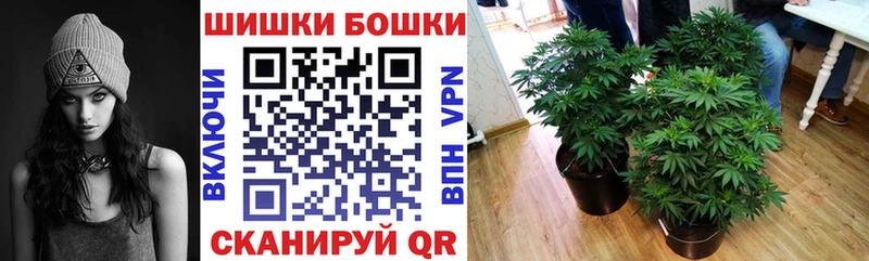 Марихуана Amnesia  купить наркоту  kraken как зайти  Наволоки 